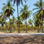 Exclusive to: www.rayavadeethailand.com | Prauchuap Khiri Khan Beach Front