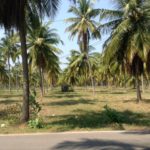 Exclusive to: www.rayavadeethailand.com | Prauchuap Khiri Khan Beach Front